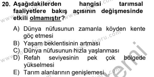 Türkiye Ekonomisi Dersi 2012 - 2013 Yılı (Vize) Ara Sınavı 20. Soru