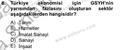 Türkiye Ekonomisi Dersi 2012 - 2013 Yılı (Vize) Ara Sınavı 6. Soru