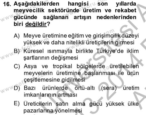Türkiye Ekonomisi Dersi 2013 - 2014 Yılı (Vize) Ara Sınavı 16. Soru