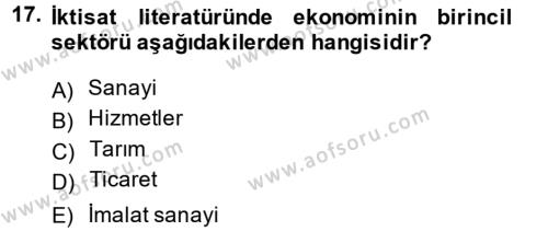 Türkiye Ekonomisi Dersi 2013 - 2014 Yılı (Vize) Ara Sınavı 17. Soru