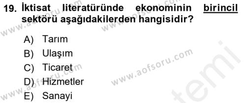 Türkiye Ekonomisi Dersi 2017 - 2018 Yılı (Vize) Ara Sınavı 19. Soru