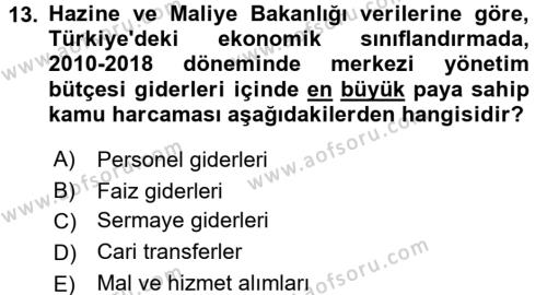 Türkiye Ekonomisi Dersi 2018 - 2019 Yılı (Vize) Ara Sınavı 13. Soru