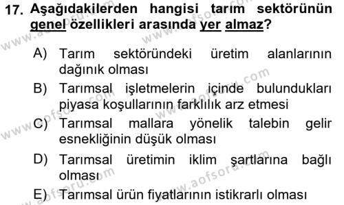 Türkiye Ekonomisi Dersi 2018 - 2019 Yılı (Vize) Ara Sınavı 17. Soru