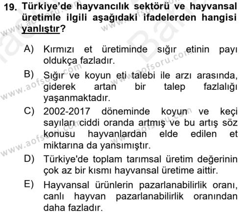 Türkiye Ekonomisi Dersi 2018 - 2019 Yılı (Vize) Ara Sınavı 19. Soru