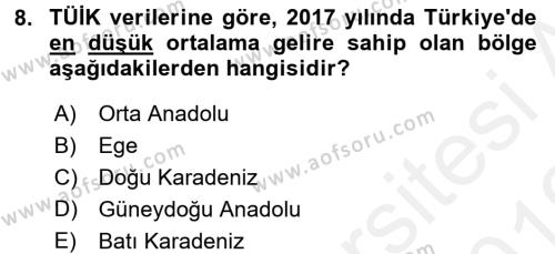 Türkiye Ekonomisi Dersi 2018 - 2019 Yılı (Vize) Ara Sınavı 8. Soru