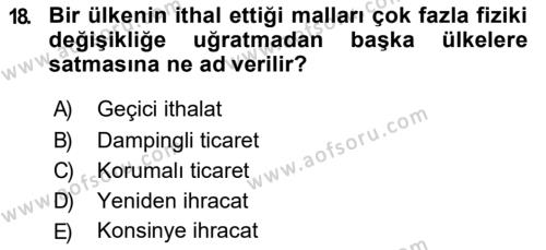 Türkiye Ekonomisi Dersi 2018 - 2019 Yılı (Final) Dönem Sonu Sınavı 18. Soru