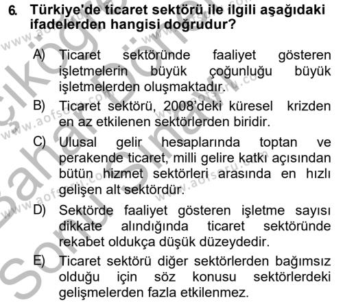 Türkiye Ekonomisi Dersi 2018 - 2019 Yılı (Final) Dönem Sonu Sınavı 6. Soru