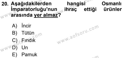 Türkiye Ekonomisi Dersi 2020 - 2021 Yılı Yaz Okulu Sınavı 20. Soru