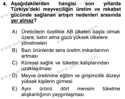 Türkiye Ekonomisi Dersi 2020 - 2021 Yılı Yaz Okulu Sınavı 4. Soru