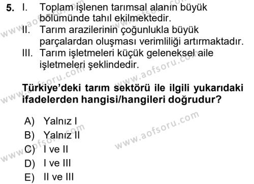 Türkiye Ekonomisi Dersi 2020 - 2021 Yılı Yaz Okulu Sınavı 5. Soru