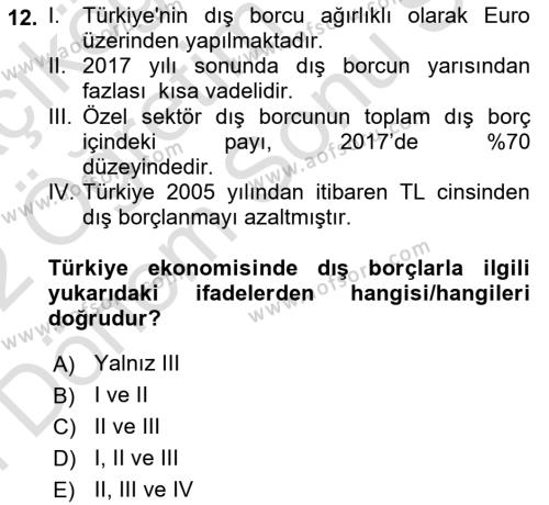 Türkiye Ekonomisi Dersi 2021 - 2022 Yılı (Final) Dönem Sonu Sınavı 12. Soru