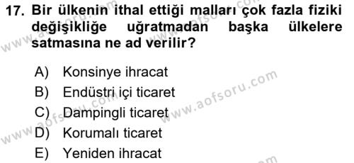 Türkiye Ekonomisi Dersi 2022 - 2023 Yılı Yaz Okulu Sınavı 17. Soru