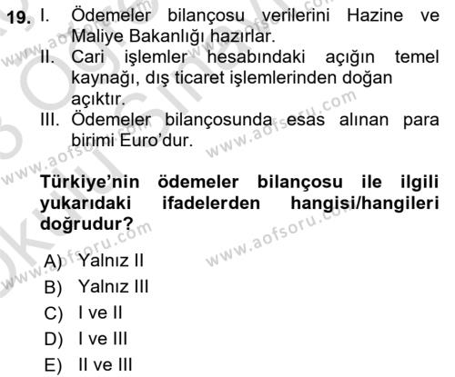 Türkiye Ekonomisi Dersi 2022 - 2023 Yılı Yaz Okulu Sınavı 19. Soru