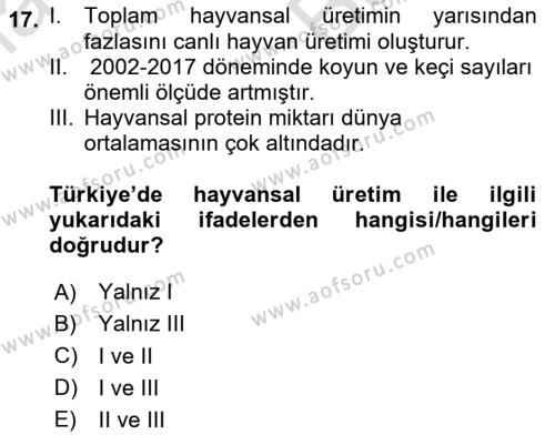 Türkiye Ekonomisi Dersi 2023 - 2024 Yılı (Vize) Ara Sınavı 17. Soru