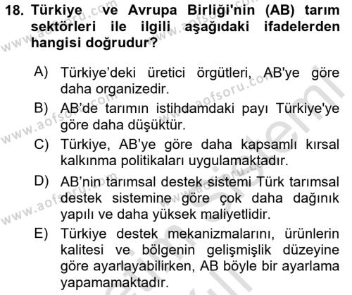 Türkiye Ekonomisi Dersi 2023 - 2024 Yılı (Vize) Ara Sınavı 18. Soru