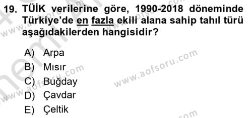 Türkiye Ekonomisi Dersi 2023 - 2024 Yılı (Vize) Ara Sınavı 19. Soru