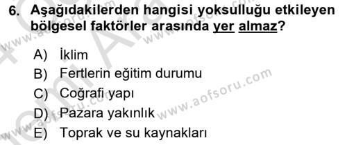 Türkiye Ekonomisi Dersi 2023 - 2024 Yılı (Vize) Ara Sınavı 6. Soru