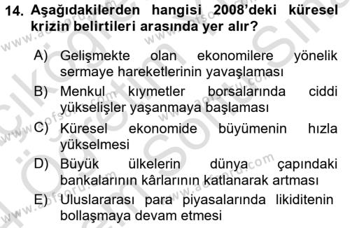 Türkiye Ekonomisi Dersi 2023 - 2024 Yılı (Final) Dönem Sonu Sınavı 14. Soru