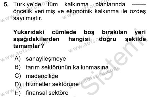 Türkiye Ekonomisi Dersi 2023 - 2024 Yılı (Final) Dönem Sonu Sınavı 5. Soru