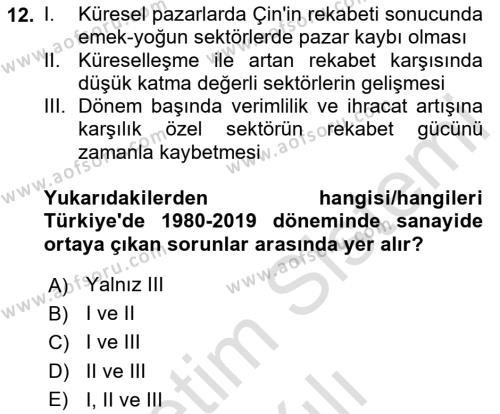 Türkiye Ekonomisi Dersi 2023 - 2024 Yılı Yaz Okulu Sınavı 12. Soru