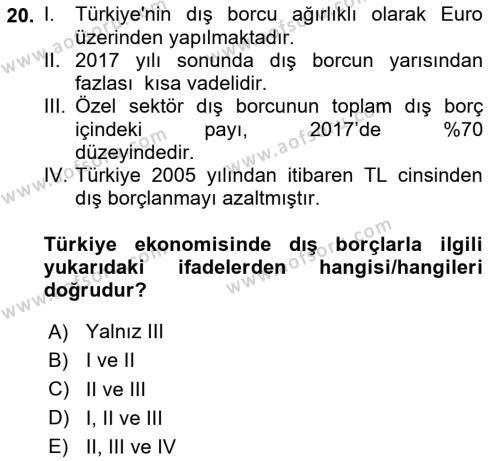 Türkiye Ekonomisi Dersi 2023 - 2024 Yılı Yaz Okulu Sınavı 20. Soru