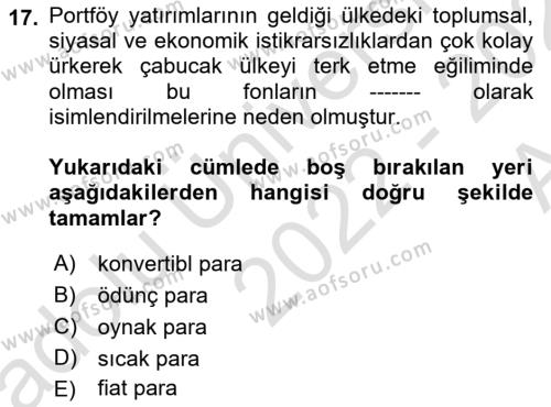 İktisadi Kalkınma Dersi 2022 - 2023 Yılı (Vize) Ara Sınavı 17. Soru