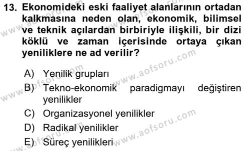 İktisadi Kalkınma Dersi 2023 - 2024 Yılı (Final) Dönem Sonu Sınavı 13. Soru