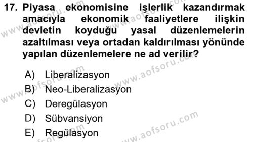 İktisadi Kalkınma Dersi 2023 - 2024 Yılı (Final) Dönem Sonu Sınavı 17. Soru