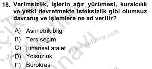 İktisadi Kalkınma Dersi 2023 - 2024 Yılı Yaz Okulu Sınavı 18. Soru