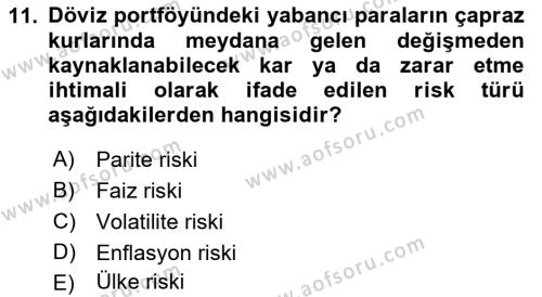 Finansal Ekonomi Dersi 2021 - 2022 Yılı Yaz Okulu Sınavı 11. Soru