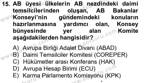 Avrupa Birliği ve Türkiye İlişkileri Dersi 2012 - 2013 Yılı (Final) Dönem Sonu Sınavı 15. Soru
