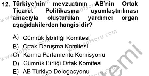 Avrupa Birliği ve Türkiye İlişkileri Dersi 2013 - 2014 Yılı (Vize) Ara Sınavı 12. Soru