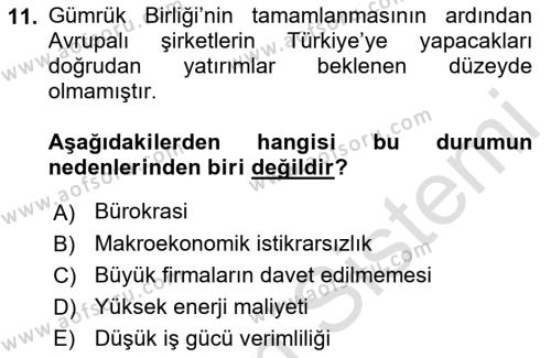 Avrupa Birliği ve Türkiye İlişkileri Dersi 2021 - 2022 Yılı (Vize) Ara Sınavı 11. Soru