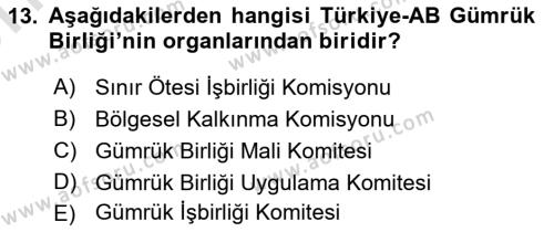 Avrupa Birliği ve Türkiye İlişkileri Dersi 2021 - 2022 Yılı (Vize) Ara Sınavı 13. Soru