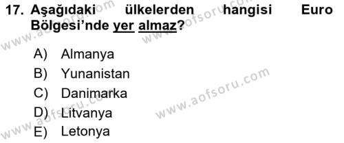 Avrupa Birliği ve Türkiye İlişkileri Dersi 2021 - 2022 Yılı Yaz Okulu Sınavı 17. Soru