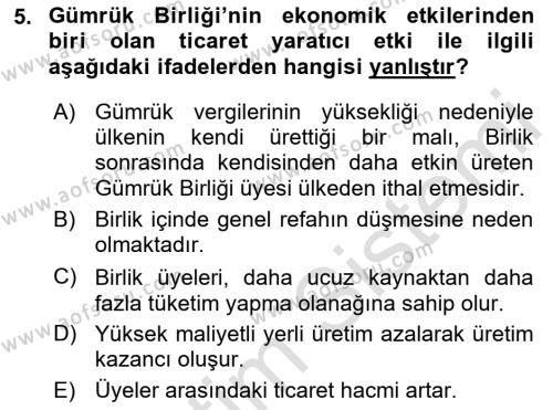 Avrupa Birliği ve Türkiye İlişkileri Dersi 2021 - 2022 Yılı Yaz Okulu Sınavı 5. Soru