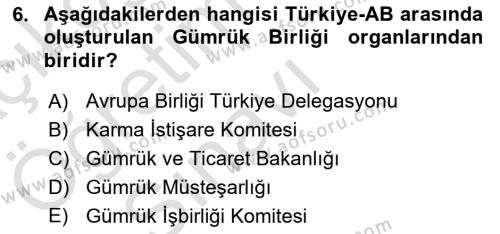 Avrupa Birliği ve Türkiye İlişkileri Dersi 2021 - 2022 Yılı Yaz Okulu Sınavı 6. Soru