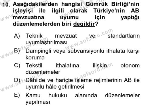 Avrupa Birliği ve Türkiye İlişkileri Dersi 2023 - 2024 Yılı (Vize) Ara Sınavı 10. Soru