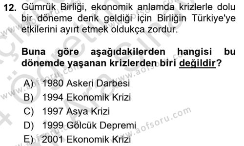 Avrupa Birliği ve Türkiye İlişkileri Dersi 2023 - 2024 Yılı (Vize) Ara Sınavı 12. Soru