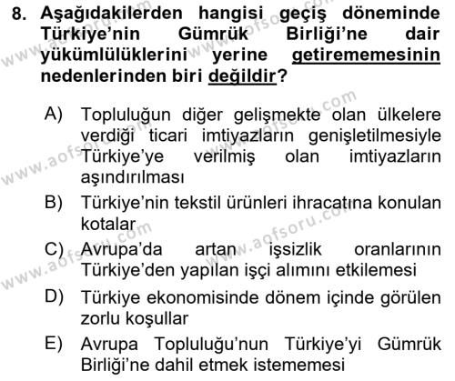 Avrupa Birliği ve Türkiye İlişkileri Dersi 2023 - 2024 Yılı (Vize) Ara Sınavı 8. Soru