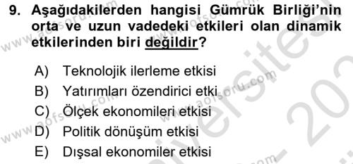 Avrupa Birliği ve Türkiye İlişkileri Dersi 2023 - 2024 Yılı (Vize) Ara Sınavı 9. Soru