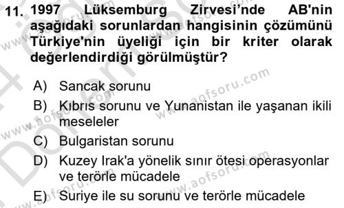 Avrupa Birliği ve Türkiye İlişkileri Dersi 2023 - 2024 Yılı (Final) Dönem Sonu Sınavı 11. Soru