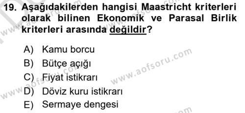 Avrupa Birliği ve Türkiye İlişkileri Dersi 2023 - 2024 Yılı (Final) Dönem Sonu Sınavı 19. Soru