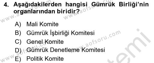 Avrupa Birliği ve Türkiye İlişkileri Dersi 2023 - 2024 Yılı (Final) Dönem Sonu Sınavı 4. Soru