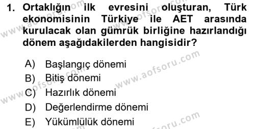 Avrupa Birliği ve Türkiye İlişkileri Dersi 2023 - 2024 Yılı Yaz Okulu Sınavı 1. Soru