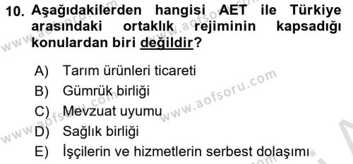 Avrupa Birliği ve Türkiye İlişkileri Dersi 2023 - 2024 Yılı Yaz Okulu Sınavı 10. Soru