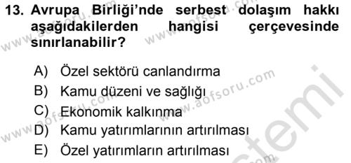 Avrupa Birliği ve Türkiye İlişkileri Dersi 2023 - 2024 Yılı Yaz Okulu Sınavı 13. Soru