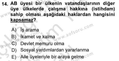 Avrupa Birliği ve Türkiye İlişkileri Dersi 2023 - 2024 Yılı Yaz Okulu Sınavı 14. Soru