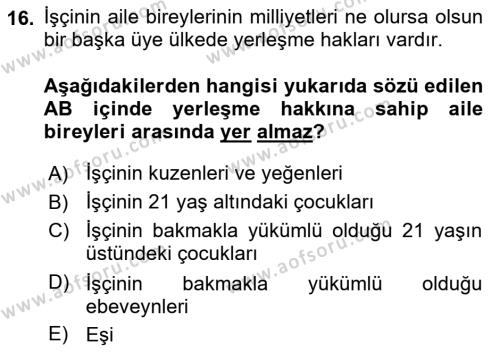 Avrupa Birliği ve Türkiye İlişkileri Dersi 2023 - 2024 Yılı Yaz Okulu Sınavı 16. Soru