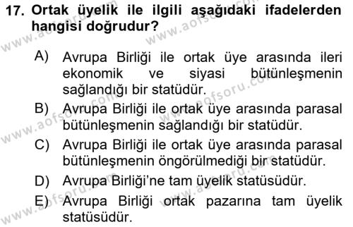 Avrupa Birliği ve Türkiye İlişkileri Dersi 2023 - 2024 Yılı Yaz Okulu Sınavı 17. Soru